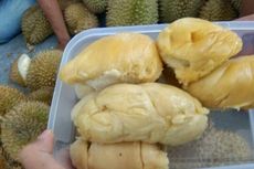 Durian Sidikalang Manisnya Maksimal