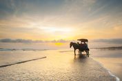 Harga Tiket Wisata Pantai di Bantul Terkini, Parangtritis hingga Pandansimo