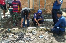 Banjir Kiriman Malaysia Rendam 8 Desa di Nunukan, Buaya Bermunculan 