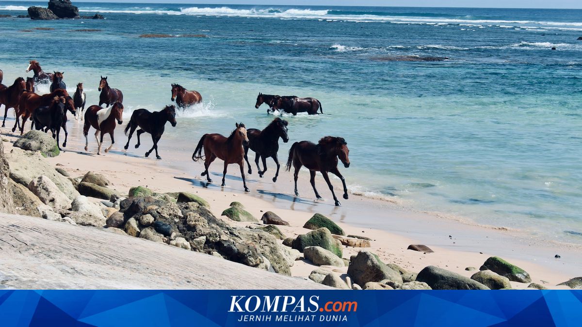 Ada dari Indonesia! Ini 25 Pulau Terbaik di Dunia 2026 Versi Travel + Leisure
