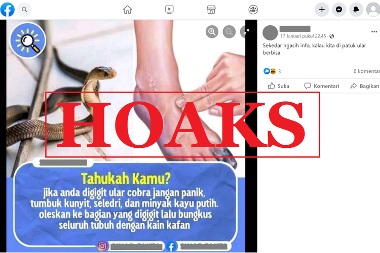 Tangkapan layar unggahan dengan narasi hoaks di sebuah akun Facebook, Selasa (17/1/2023), soal cara mengatasi gigitan ular dengan ramuan yang dibubuhkan di luka dan membungkus seluruh tubuh dengan kafan. 