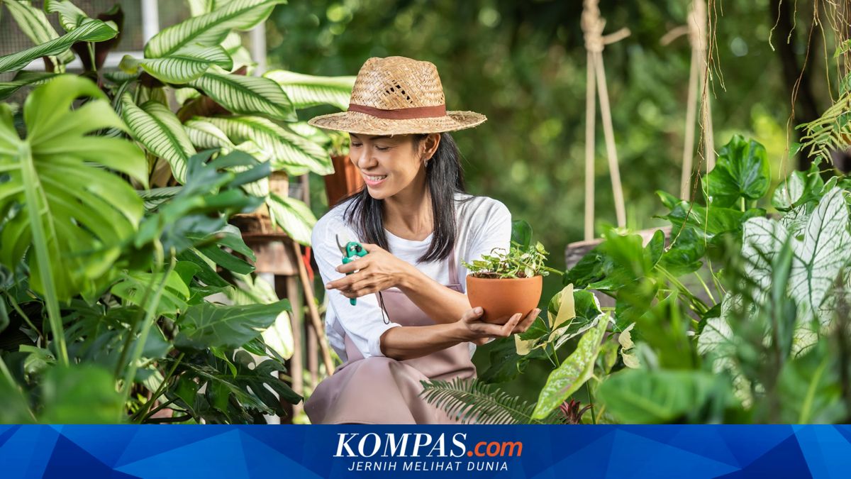 Susah Tidur? Berkebun Ternyata Bisa Tingkatkan Kualitas Tidur