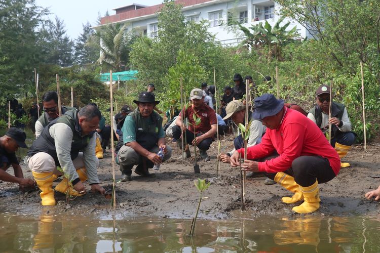 Kementerian Kelautan dan Perikanan (KP) bersama pemerintah daerah (pemda) dan masyarakat menggulirkan gerakan penghijauan di pesisir pantai Pangandaran, Jawa Barat (Jabar). 
