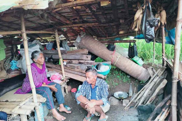 Pasutri jompo yang tinggal di gubuk di tengah sawah viral di media sosial. Foto tersebut dipastikan benar namun bernarasi keliru. 