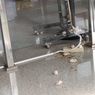 Massa Demo Firli Lepas Tikus dan Lempar Telur ke Gedung KPK 