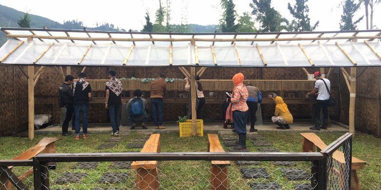 Salah satu tempat bermain anak-anak terdapat beberapa kelinci di kawasan Mulberry Hill by The Lodge, Desa Cibodas, Kecamatan Lembang, Kabupaten Bandung Barat, Jumat (23/2/2018).