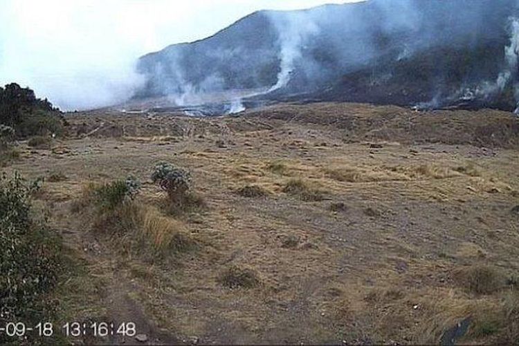 Savana Alun-alun Suryakencana Gunung Gede-Pangrango, Cianjur, terbakar, Senin (18/9/2023).