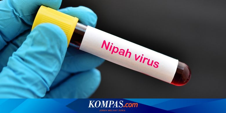 Virus Nipah, Dosen Unair: Kenali Tanda dan Gejalanya Halaman all