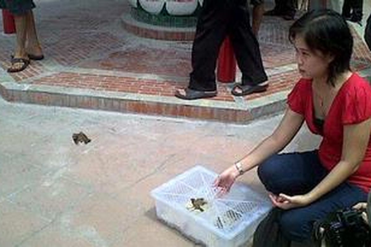 Setelah berdoa, umat Vihara Dharma Bakti melepaskan burung sebagai tanda kebebasan.