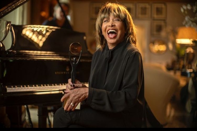 Penyanyi Tina Turner