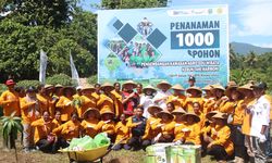 Kembangkan Agrowisata di Halmahera Timur, Antam Tanam 1.000 Pohon Buah di Desa Geltoli