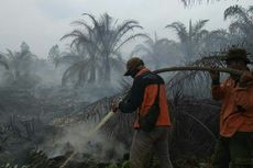 Gas Akibat Kebakaran Hutan Bisa Sebabkan Janin Lahir Cacat