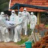 India Catat 2 Kematian akibat Virus Nipah di Kerala