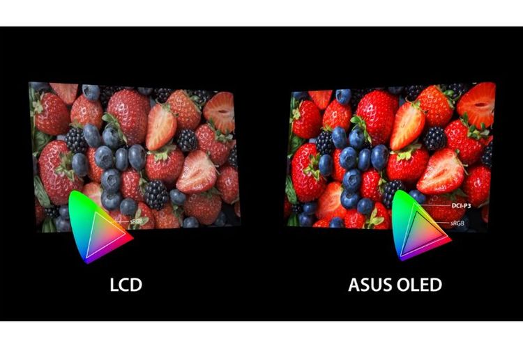 Perbandingan color gamut 

