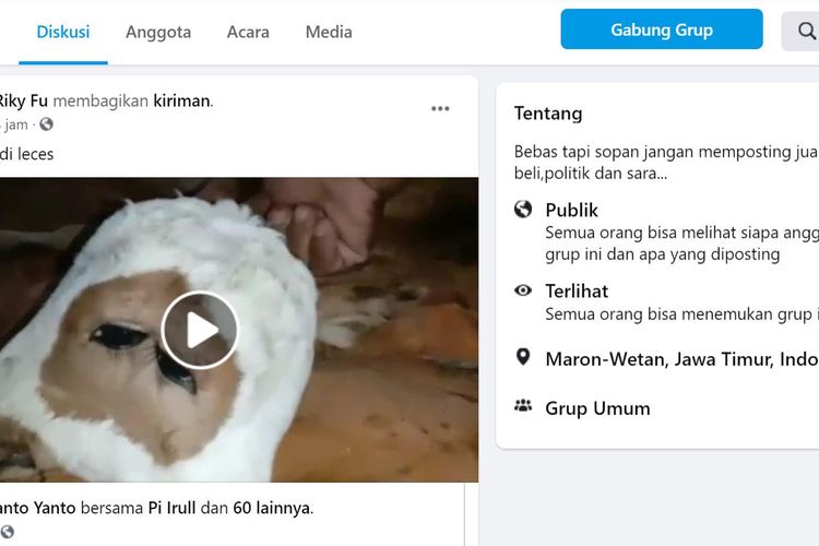 Warga Desa Pondok Wuluh, Kecamatan Leces, Kabupaten Probolinggo, dihebohkan dengan lahirnya seekor anak sapi berkepala dua dan bermata empat, Senin (10/8/2020). 