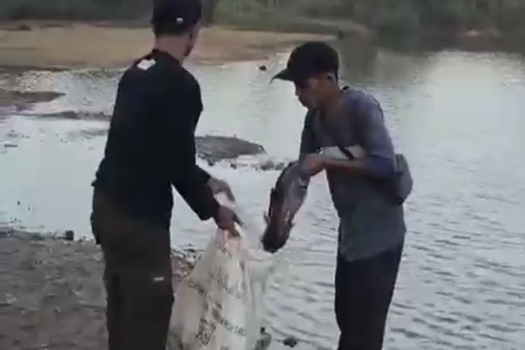 Heli Water Bombing Ambil Air di Kolam Pemancingan Warga untuk Padamkan Karhutla di Kalsel, Pemilik Rugi dan Keberatan