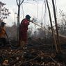 Menhut Wanti-wanti Kemarau hingga Awal Agustus, Berpotensi Picu Karhutla