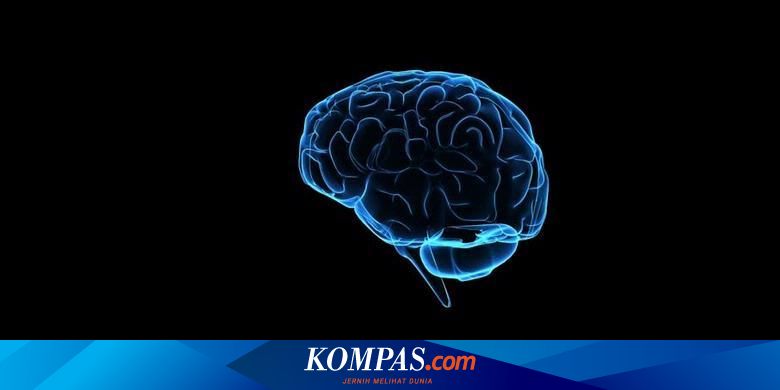 Hidup Setelah Mati Otak Mungkinkah