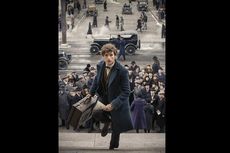 Sinopsis Fantastic Beasts and Where to Find Them