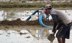 Program Pompanisasi dari Mentan Amran di Subang Tuai Respons Positif 