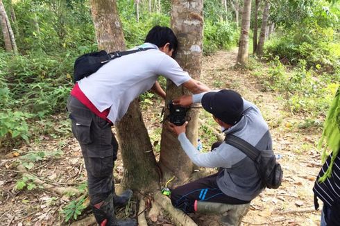 Harimau Belum Ditemukan, Polisi Imbau Warga Tetap Waspada