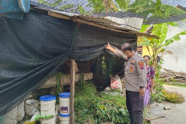 Polisi melalui Bhabinkamtibmas memantau kandang sapi milik warga /Foto dokumentasi Polres Pemalang