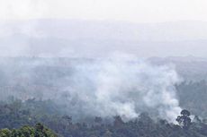 Polisi Tangkap 10 Orang Pelaku Pembakaran Lahan di Riau