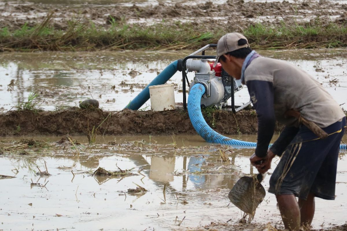 
Menteri Pertanian (Mentan) Andi Amran Sulaiman menggalakkan program pompanisasi untuk percepatan tanam. Program ini menargetkan 1 juta hektare (ha) lahan sawah di Jawa dan luar Pulau Jawa.
