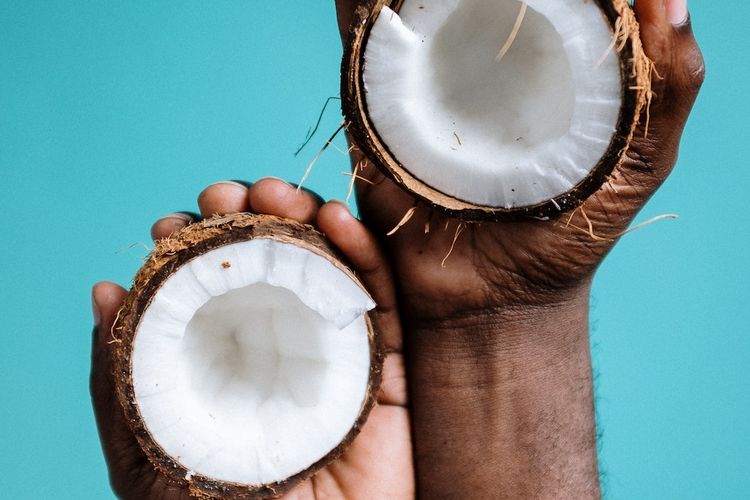 Ilustrasi kelapa, buah kelapa.