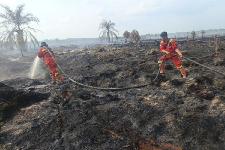 Karhutla Membara di Rokan Hilir Riau, Pemadaman dari Darat dan Udara