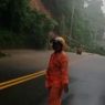 Pohon Tumbang Tutup Badan Jalan di Ambon, Arus Kendaraan Macet hingga 3 Kilometer