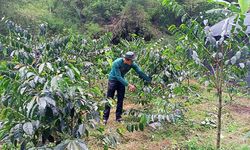 Kelembagaan dan Hilirisasi Dinilai Jadi Kunci Kesejahteraan Petani