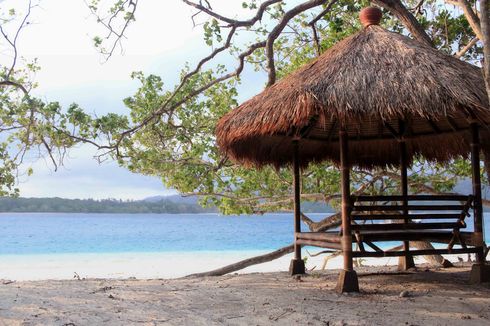 Hore! Taman Nasional Ujung Kulon Sudah Bisa Dikunjungi Lagi