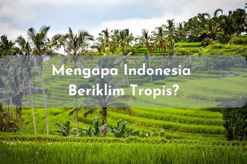 Mengapa Indonesia Beriklim Tropis?
