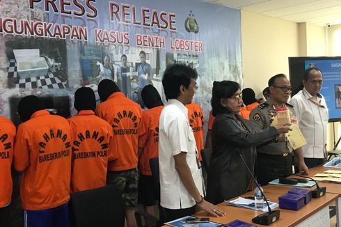 Polisi Gagalkan Penyelundupan Bibit Lobster Senilai Rp 8,5 Miliar