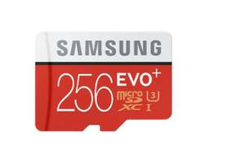 Kartu memori MicroSD Samsung Evo Plus 256 GB