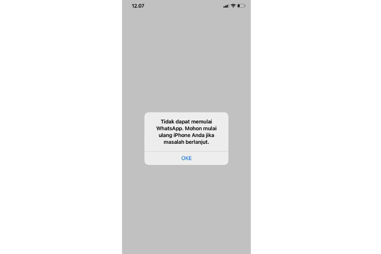 Ilustrasi pesan Tidak dapat memulai WhatsApp yang muncul saat WhatsApp tidak bisa dibuka