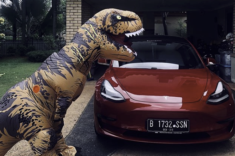 T-Rex belaja dengan Tesla model 3