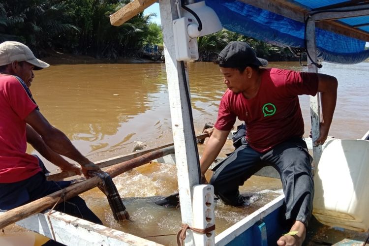 Petugas Tim saat evakuasi Lumba-lumba yang tersangkut di pohon Mangrove sekitar Sungai Wanggu Kendari