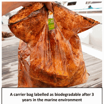 Kantong plastik berlabel biodegradable tetap utuh setelah dikubur selama tiga tahun.