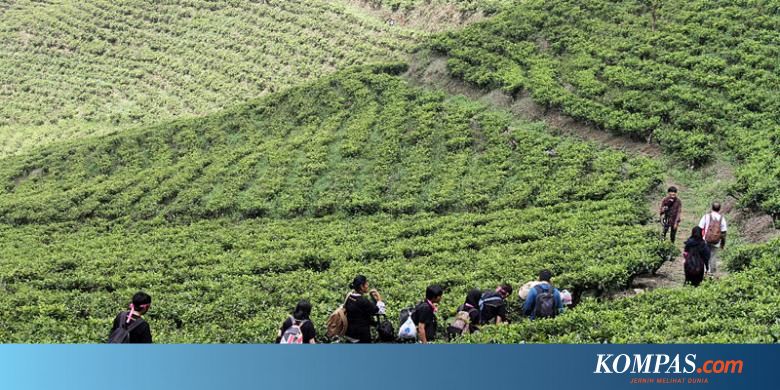 Menengok Hulu Bening Ciliwung Halaman All Kompas Com