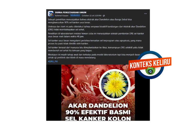 Klarifikasi, ekstrak akar dandelion berkhasiat bunuh sel kanker