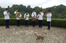 Rayakan Ultah Raja Charles di Kebun Raya Bogor, Drum Band Militer Inggris Membawakan Lagu The Beatles