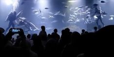 Libur Lebaran, Aquarium Indonesia di Pangandaran Dipadati 1.500 Pengunjung Per Hari