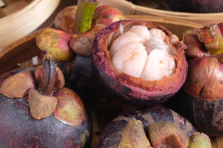 Ilustrasi buah manggis