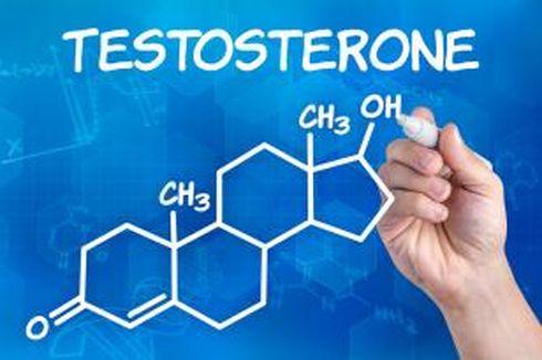 5 Info Keliru Seputar Testosteron