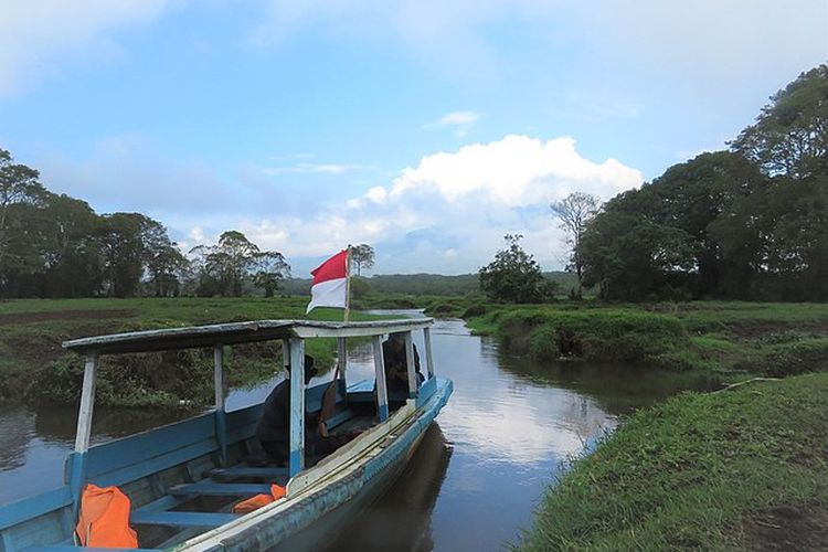 Objek wisata Rawa Bento di Taman Nasional Kerinci Seblat. 