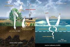 Siklus Karbon Geologis: Pengertian dan Tahapannya