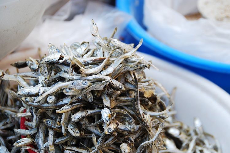 7 Manfaat Ikan Teri, Menyehatkan Mata dan Membantu Diet