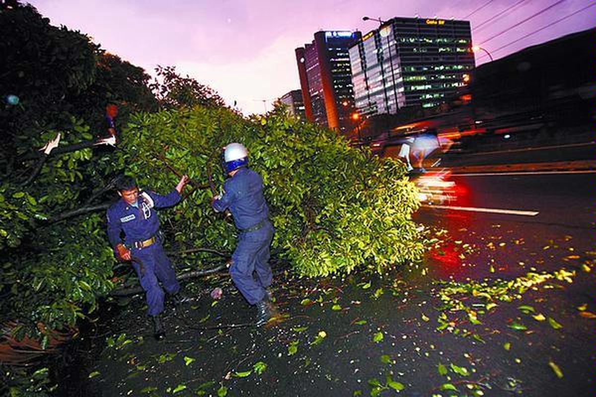 Polisi Pamong Praja berusaha menyingkirkan pohon tumbang yang menghalangi sebagian badan Jalan Gatot Subroto, Jakarta, Kamis (10/4). Hujan disertai angin kencang yang terjadi menyebabkan sejumlah pohon di Jakarta tumbang.  